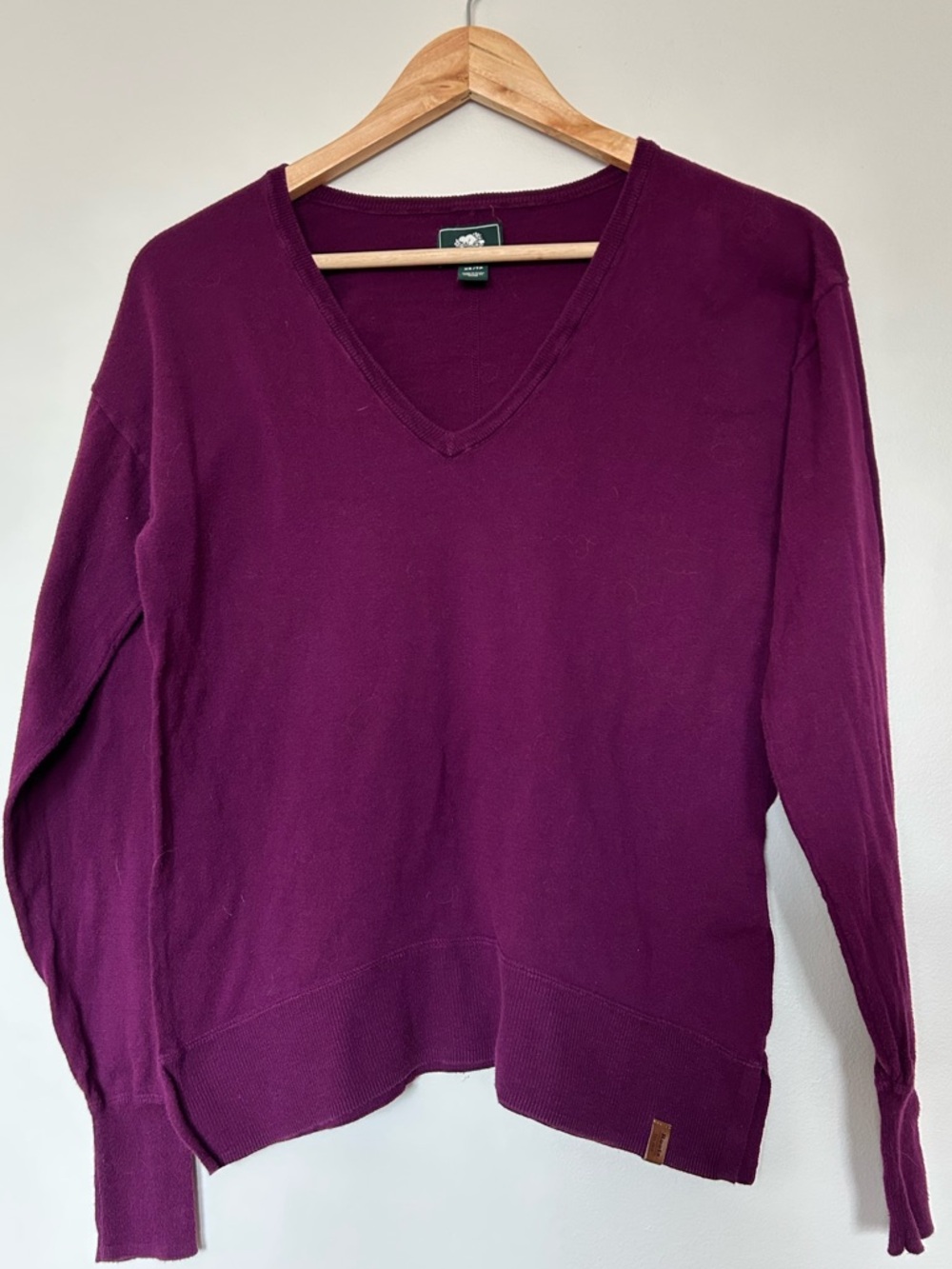 Roots Women's V-Neck Sweater in Plum